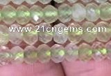 CRB1952 15.5 inches 3*4mm faceted rondelle prehnite gemstone beads