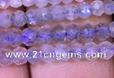 CRB1980 15.5 inches 3*4mm faceted rondelle labradorite beads