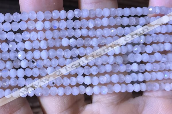 CRB2623 15.5 inches 2*3mm faceted rondelle white moonstone beads