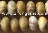 CRB5321 15.5 inches 4*6mm rondelle fossil coral beads wholesale