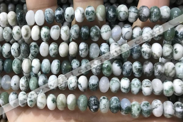 CRB5338 15.5 inches 5*8mm rondelle tree agate beads wholesale