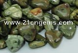 CRH31 15.5 inches 12*12mm triangle rhyolite beads wholesale