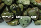 CRH32 15.5 inches 16*16mm triangle rhyolite beads wholesale