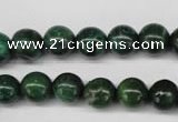 CRJ303 15.5 inches 10mm round African prase jasper beads wholesale