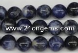 CRO239 15.5 inches 10mm round sodalite gemstone beads wholesale