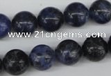 CRO344 15.5 inches 12mm round sodalite gemstone beads wholesale