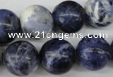 CRO423 15.5 inches 16mm round sodalite gemstone beads wholesale