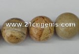 CRO485 15.5 inches 18mm round picture jasper beads wholesale