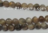 CRO730 15.5 inches 6mm – 14mm faceted round moonstone gemstone beads