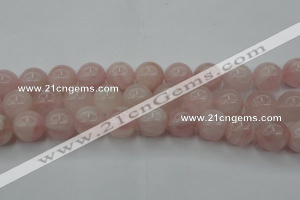 CRQ675 15.5 inches 16mm round rose quartz beads wholesale