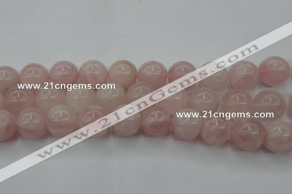 CRQ676 15.5 inches 16mm round rose quartz beads wholesale