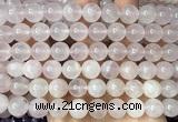 CRQ925 15 inches 10mm round natural rose quartz beads wholesale