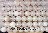 CRQ926 15 inches 10mm round natural rose quartz beads wholesale