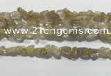 CRU929 15.5 inches 6*8mm - 10*12mm chips golden rutilated quartz beads