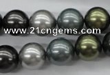 CSB1126 15.5 inches 14mm round mixed color shell pearl beads