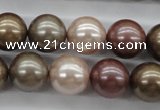 CSB1141 15.5 inches 14mm round mixed color shell pearl beads