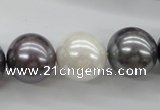 CSB1150 15.5 inches 16mm round mixed color shell pearl beads