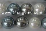 CSB1151 15.5 inches 16mm round mixed color shell pearl beads