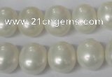 CSB136 15.5 inches 12*15mm – 13*16mm oval shell pearl beads