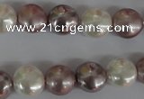 CSB184 15.5 inches 12mm flat round mixed color shell pearl beads