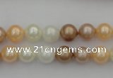 CSB311 15.5 inches 8mm round mixed color shell pearl beads