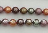 CSB312 15.5 inches 8mm round mixed color shell pearl beads