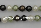 CSB314 15.5 inches 8mm round mixed color shell pearl beads