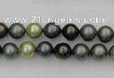 CSB316 15.5 inches 8mm round mixed color shell pearl beads