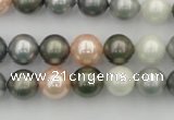 CSB338 15.5 inches 10mm round mixed color shell pearl beads