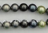 CSB340 15.5 inches 10mm round mixed color shell pearl beads