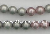 CSB341 15.5 inches 10mm round mixed color shell pearl beads