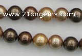 CSB342 15.5 inches 10mm round mixed color shell pearl beads