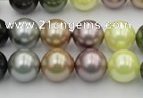 CSB364 15.5 inches 12mm round mixed color shell pearl beads