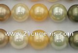 CSB373 15.5 inches 14mm round mixed color shell pearl beads