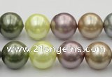 CSB381 15.5 inches 14mm round mixed color shell pearl beads