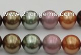 CSB383 15.5 inches 14mm round mixed color shell pearl beads