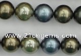 CSB384 15.5 inches 14mm round mixed color shell pearl beads