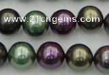CSB386 15.5 inches 14mm round mixed color shell pearl beads