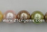 CSB393 15.5 inches 16mm round mixed color shell pearl beads