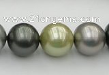 CSB398 15.5 inches 16mm round mixed color shell pearl beads