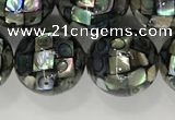 CSB4034 15.5 inches 14mm ball abalone shell beads wholesale