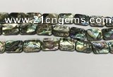 CSB4156 15.5 inches 15*20mm rectangle abalone shell beads wholesale