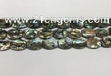 CSB4161 15.5 inches 12*16mm flat drum abalone shell beads wholesale