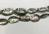 CSB4179 15.5 inches 13*30mm - 15*35mm freeform abalone shell beads