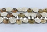 CSB4500 15.5 inches 18*20mm freeform shell beads wholesale