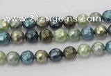 CSB529 15.5 inches 6mm faceted round mixed color shell pearl beads