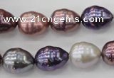 CSB553 15.5 inches 12*15mm whorl teardrop mixed color shell pearl beads