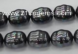 CSB586 15.5 inches 13*16mm whorl oval shell pearl beads