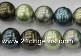 CSB623 15.5 inches 14mm whorl round mixed color shell pearl beads