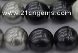 CSB650 15.5 inches 18mm whorl round mixed color shell pearl beads